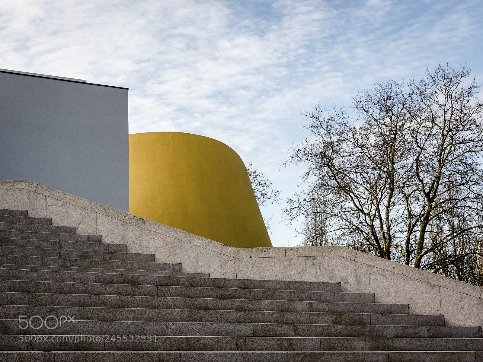 Nikon D810 sample photo. Lines, shapes & trees photography