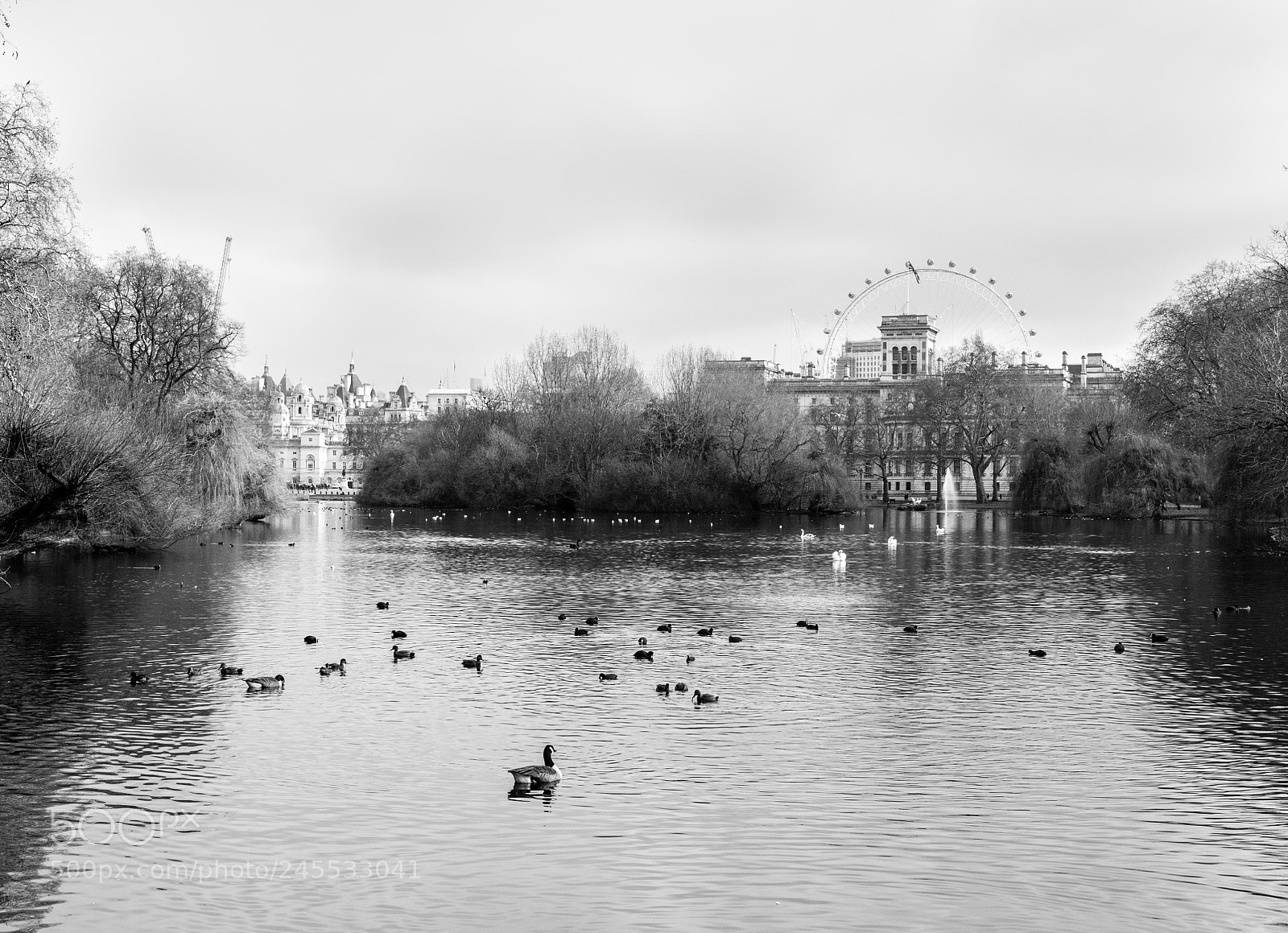 Panasonic Lumix DMC-LX100 sample photo. St james park photography