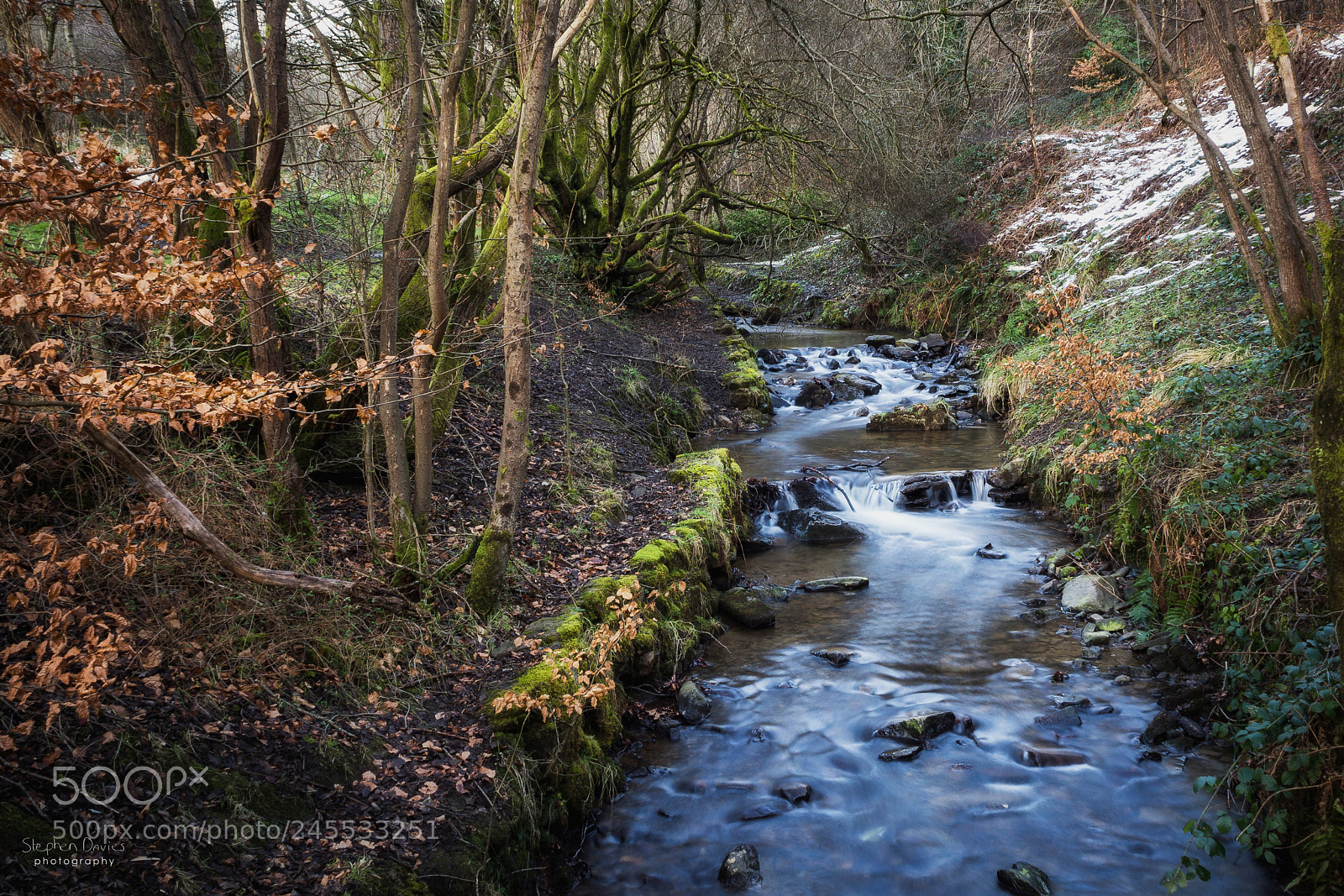 Olympus OM-D E-M10 II sample photo. Woodlands stream photography