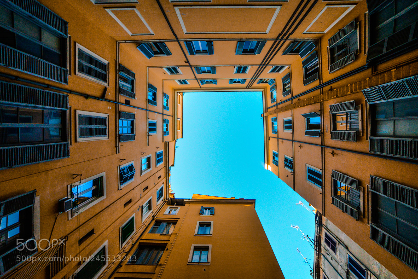 Nikon D610 sample photo. Under the open sky photography