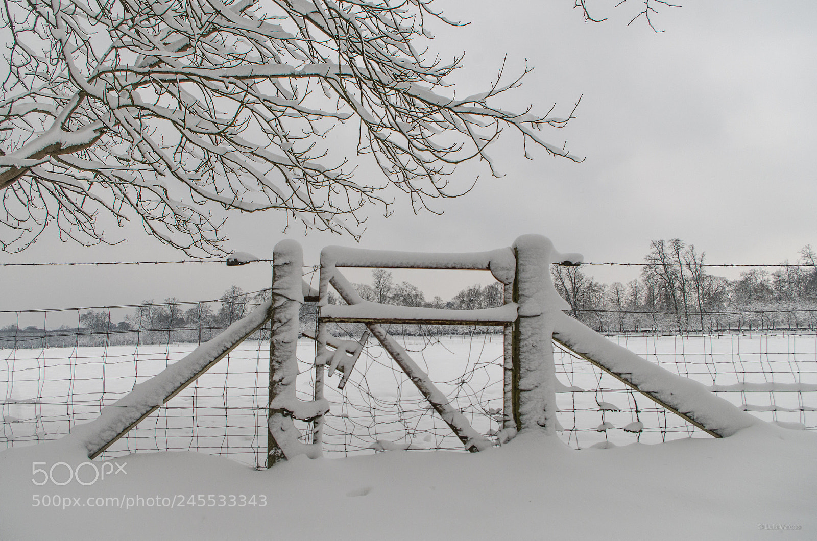 Pentax K-30 sample photo. The kings fence photography