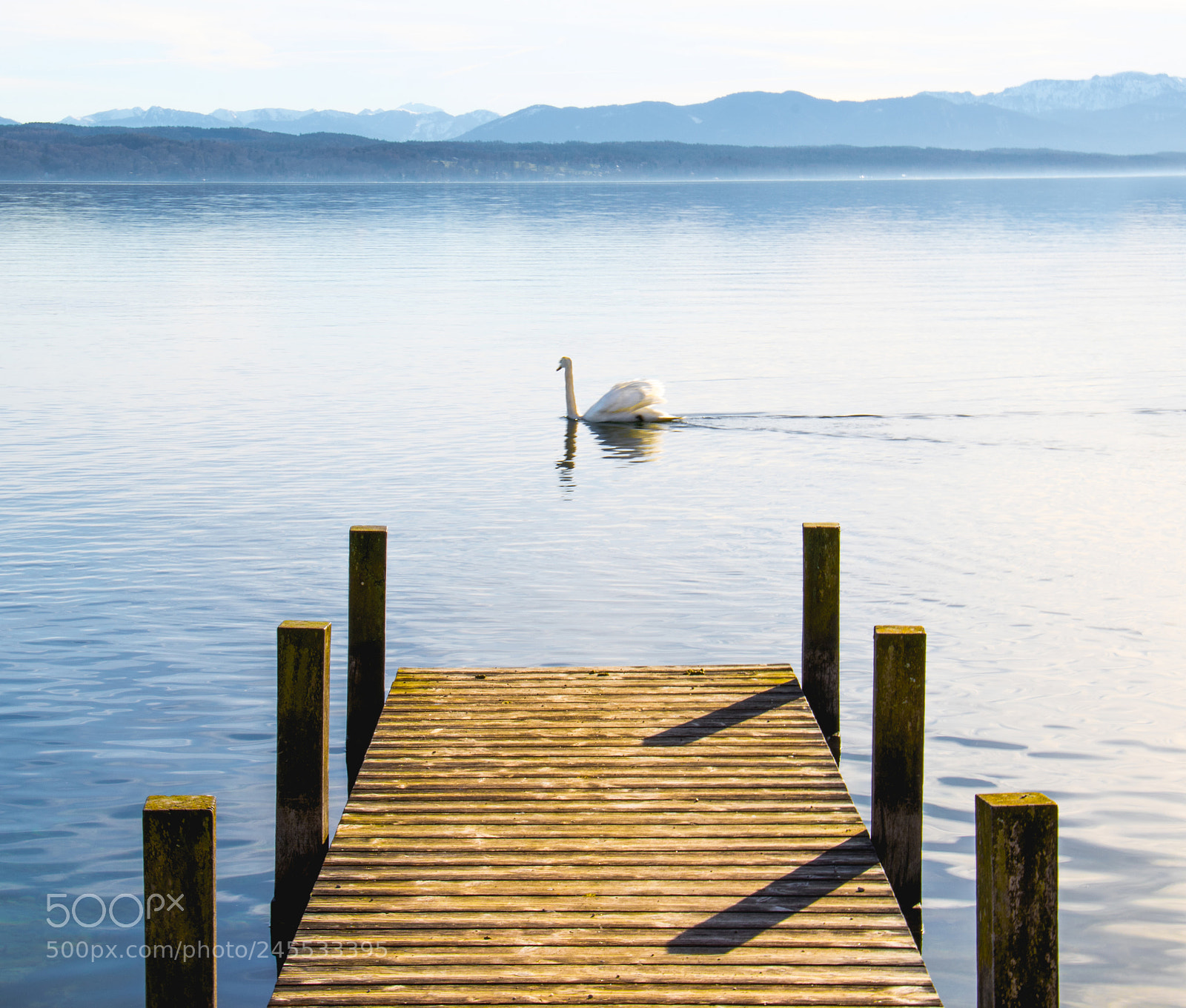 Canon EOS 7D Mark II sample photo. Majestic white photography