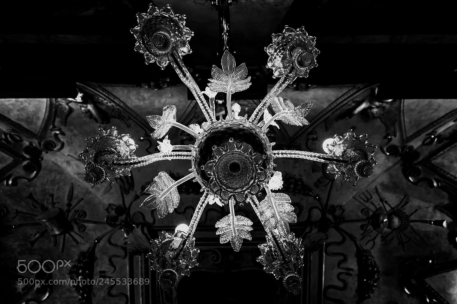 Nikon D5600 sample photo. Senát ... 002 bw photography