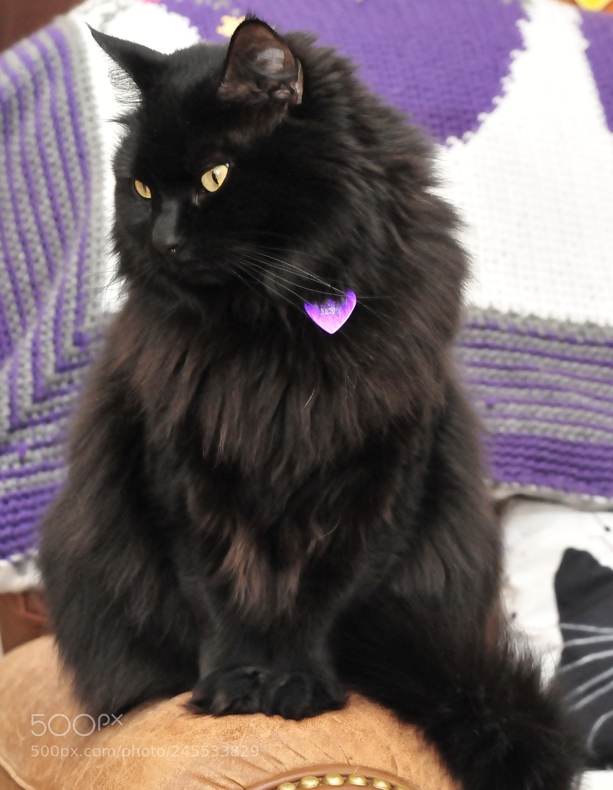 Nikon D300 sample photo. Hazel rain had enough photography
