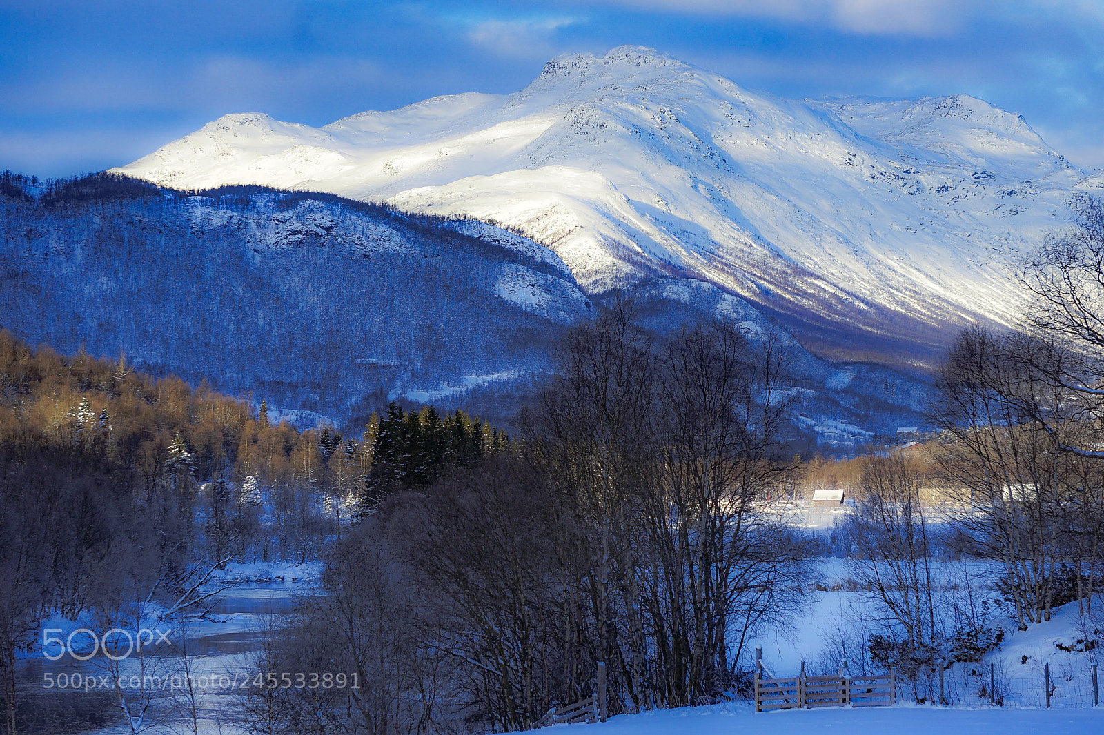 Sony a7 II sample photo. Green valley in winter photography