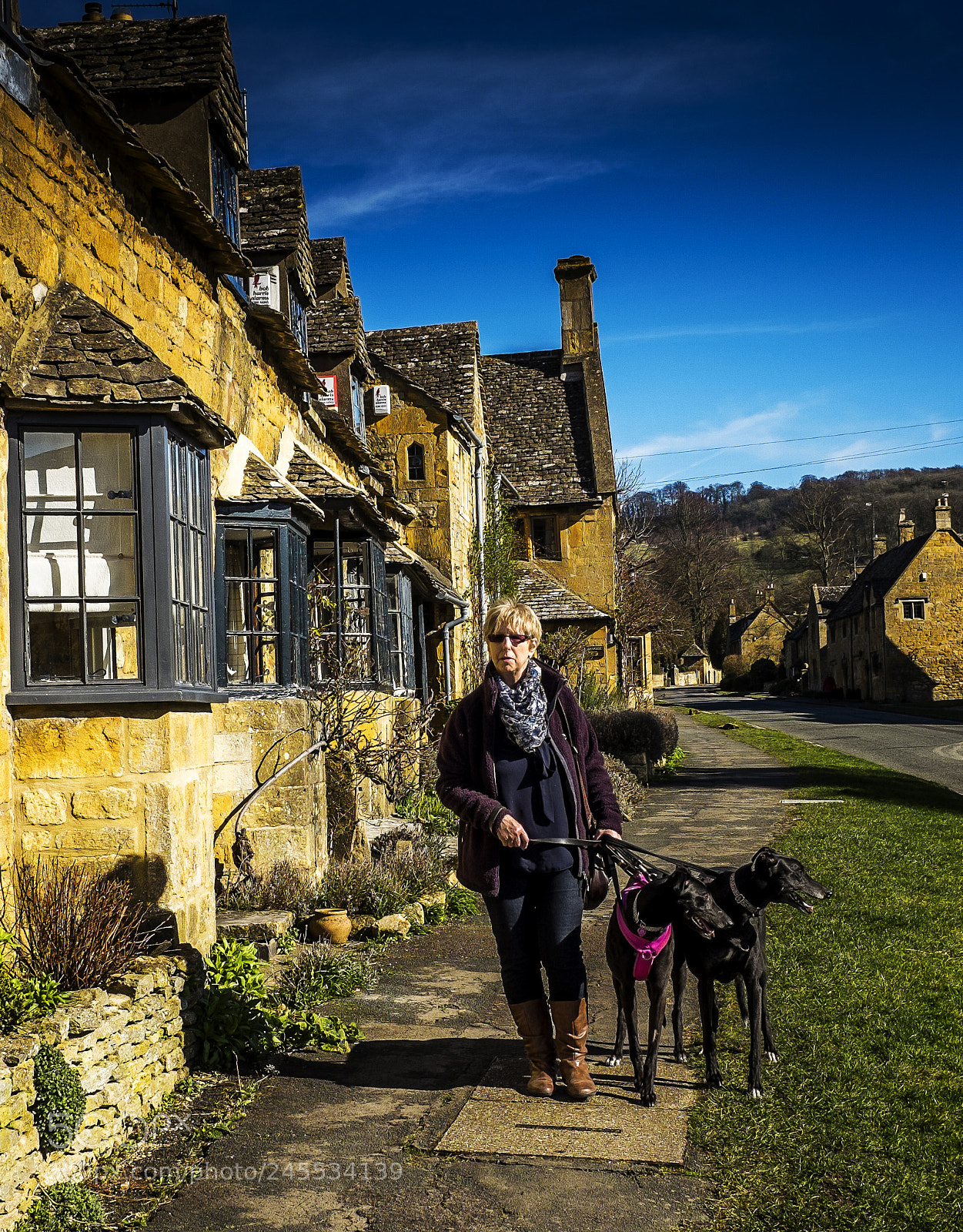 Fujifilm X100S sample photo. Just walking the dog photography