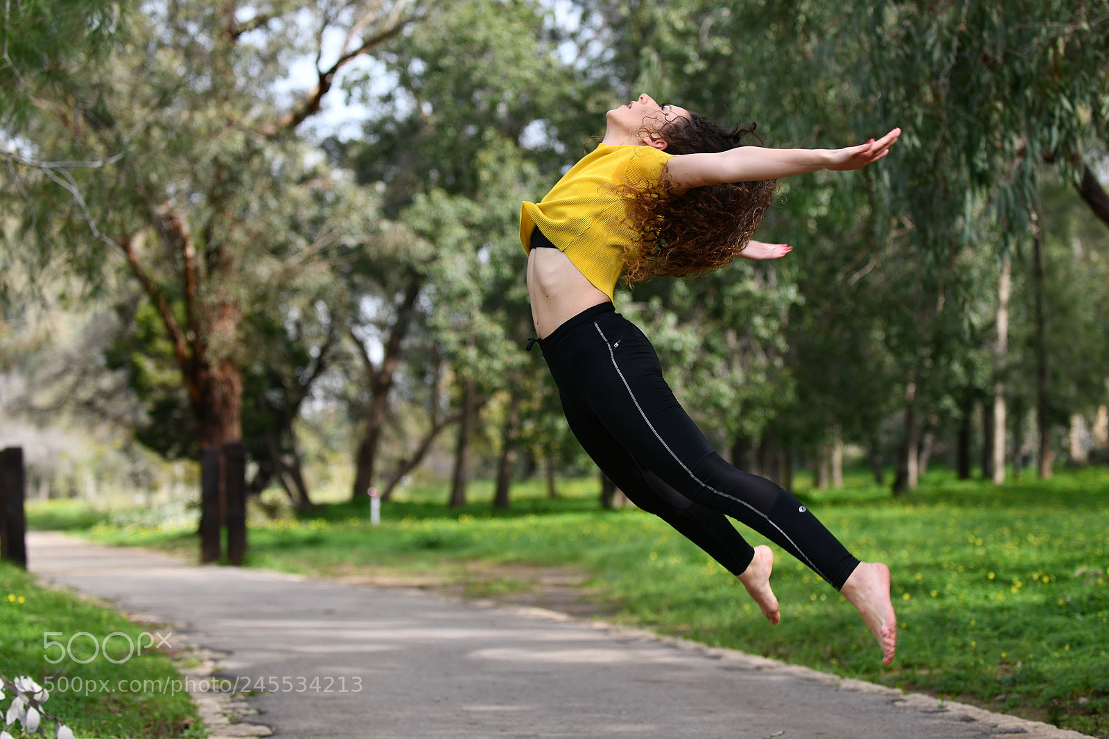 Nikon D850 sample photo. A photography