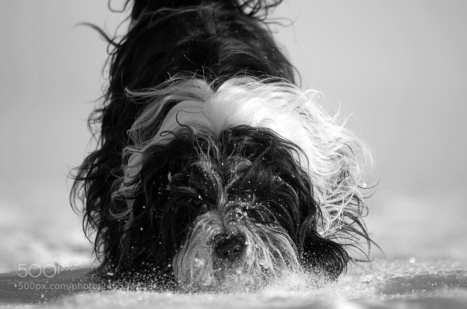 Nikon D5100 sample photo. We love snow photography