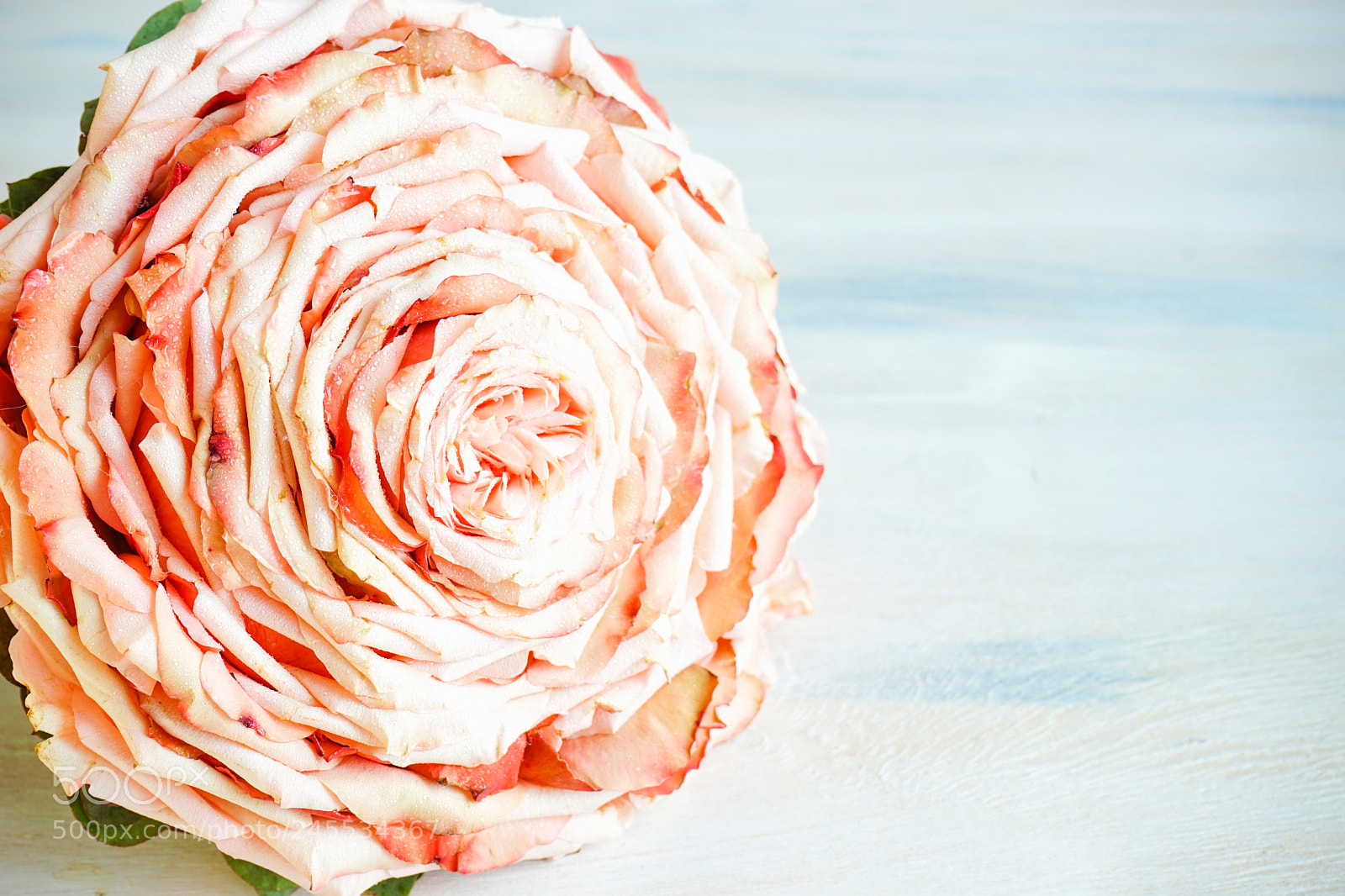 Sony a7 sample photo. Beautiful bouquet for bride photography
