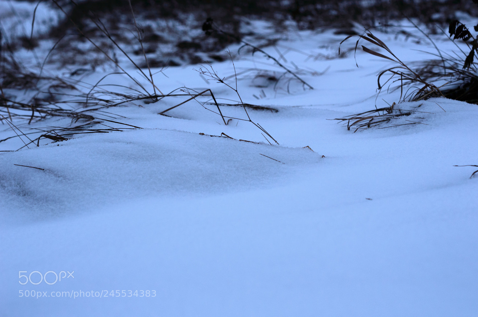 Nikon D3200 sample photo. Snow photography