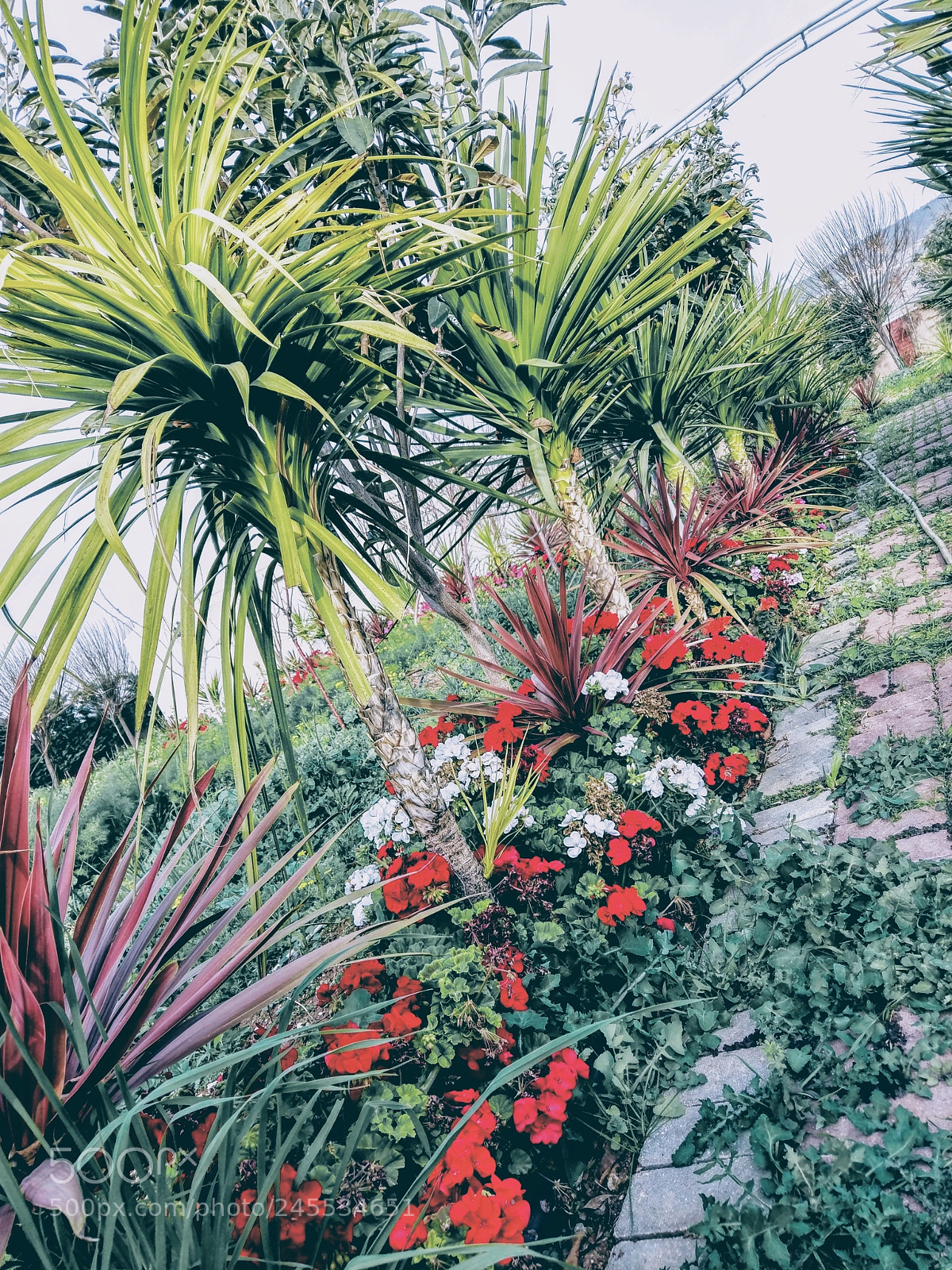 HTC 10 sample photo. Looking photography