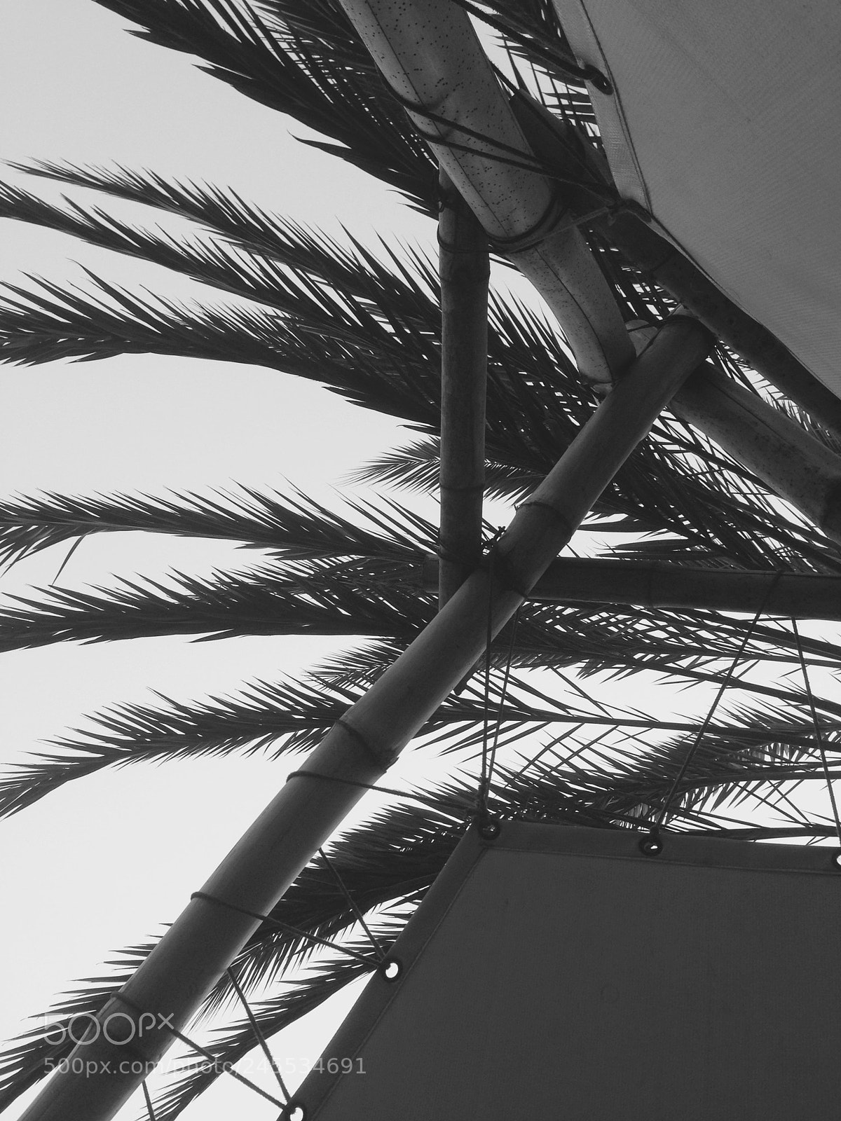 Apple iPhone 5 sample photo. ?? photography