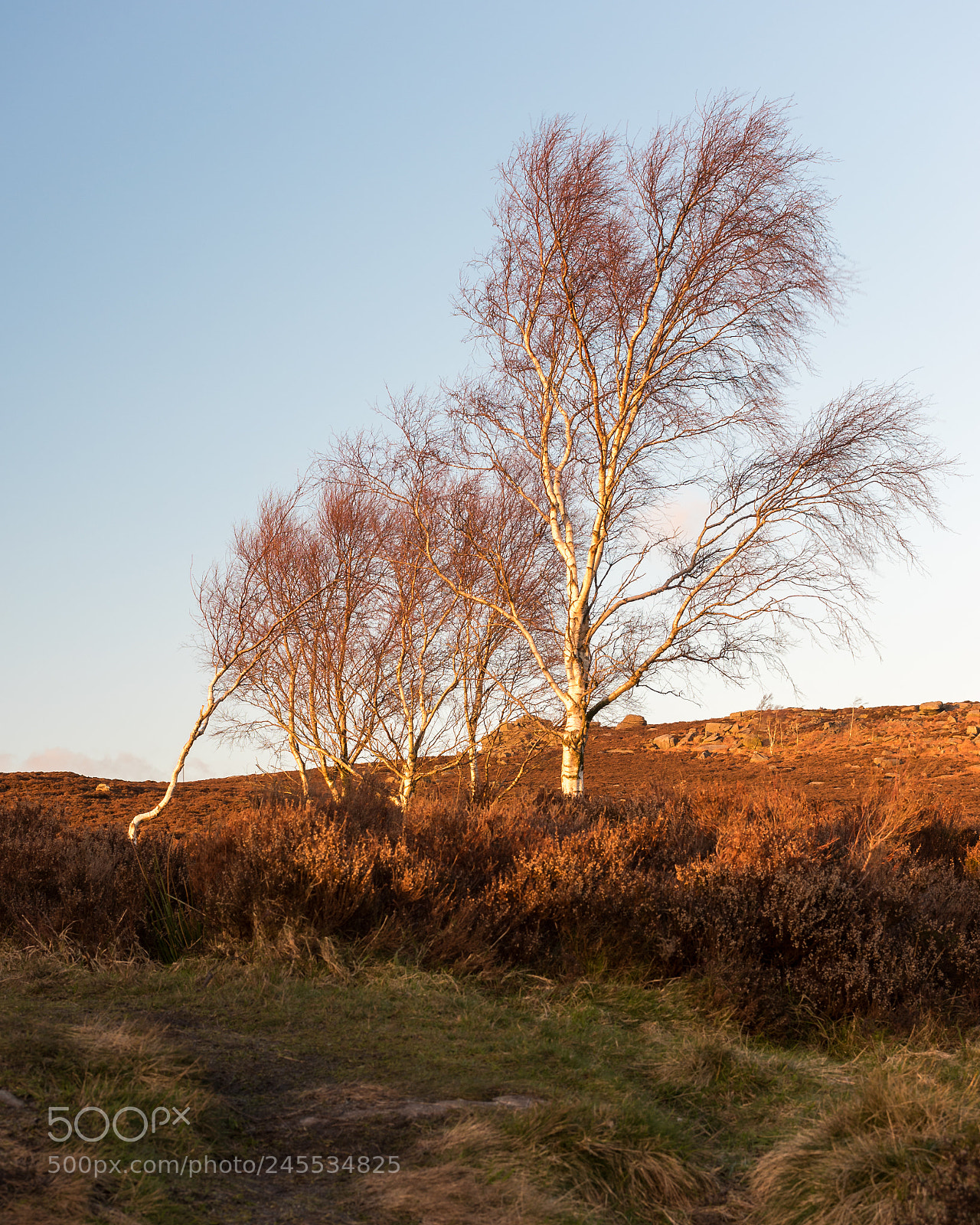 Nikon D5500 sample photo. From millstone edge photography