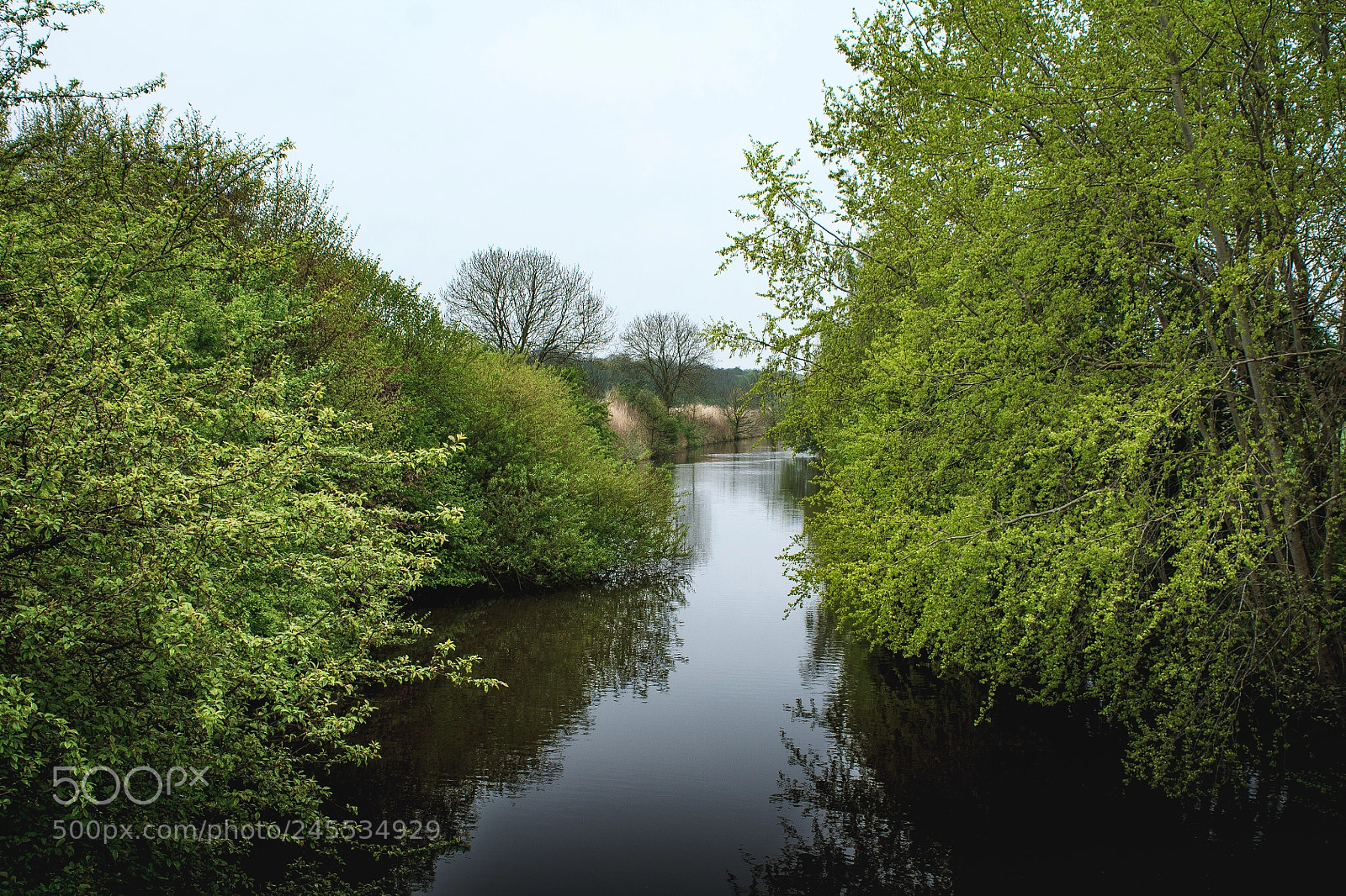 Canon EOS 1100D (EOS Rebel T3 / EOS Kiss X50) sample photo. Natural framed river in photography