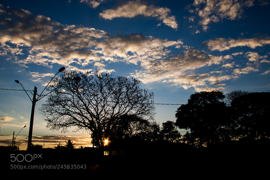 Canon EOS-1D Mark II sample photo. Untitled photography