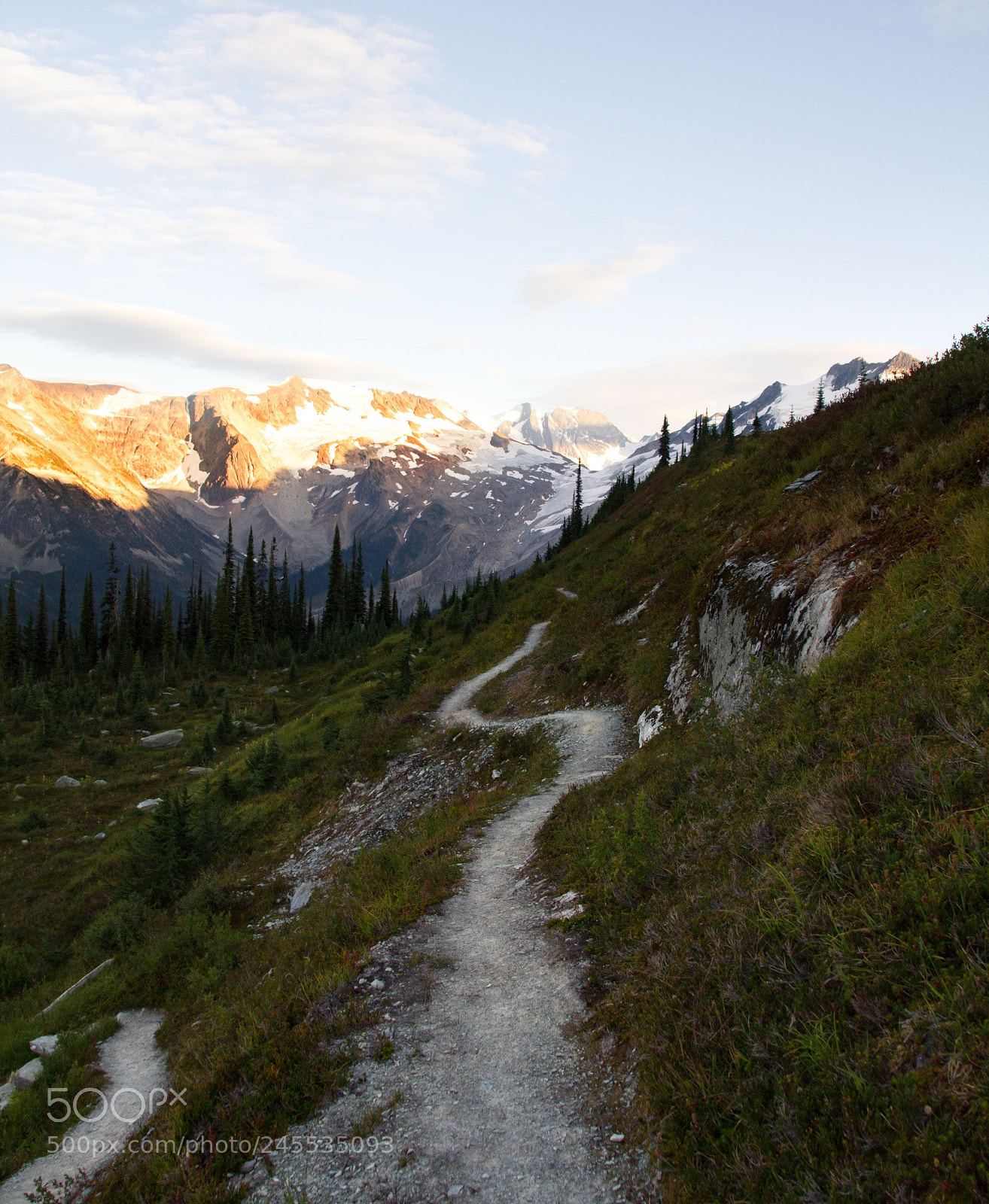 Canon EOS 60D sample photo. Where will the path photography