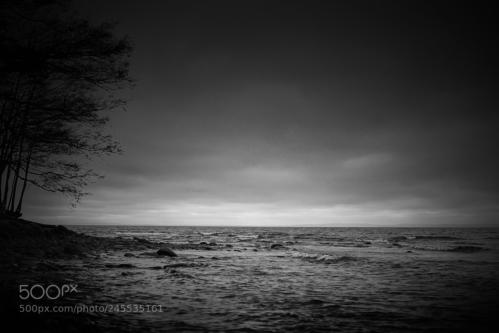 Nikon D800E sample photo. Hello darkness my old photography