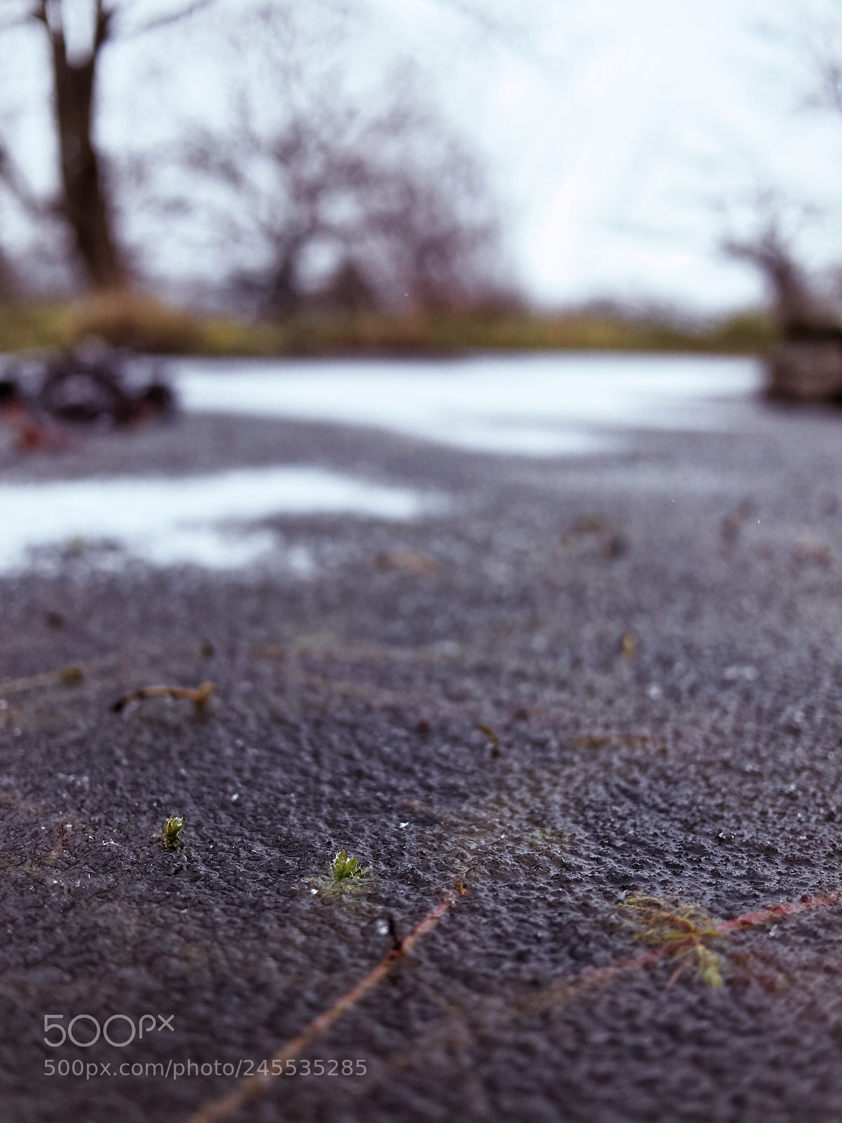 Panasonic Lumix DMC-GF1 sample photo. Prise dans la glace photography