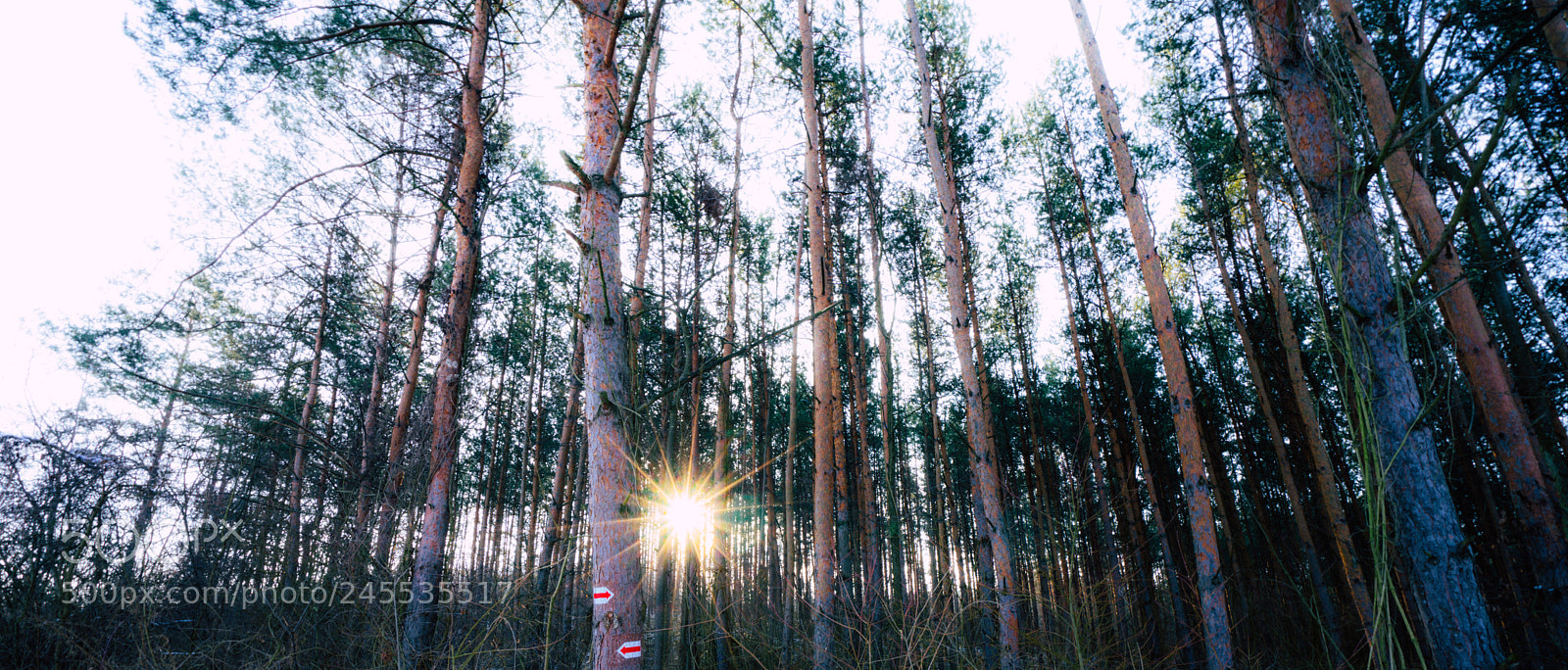 Sony a7 sample photo. 4.jpg photography