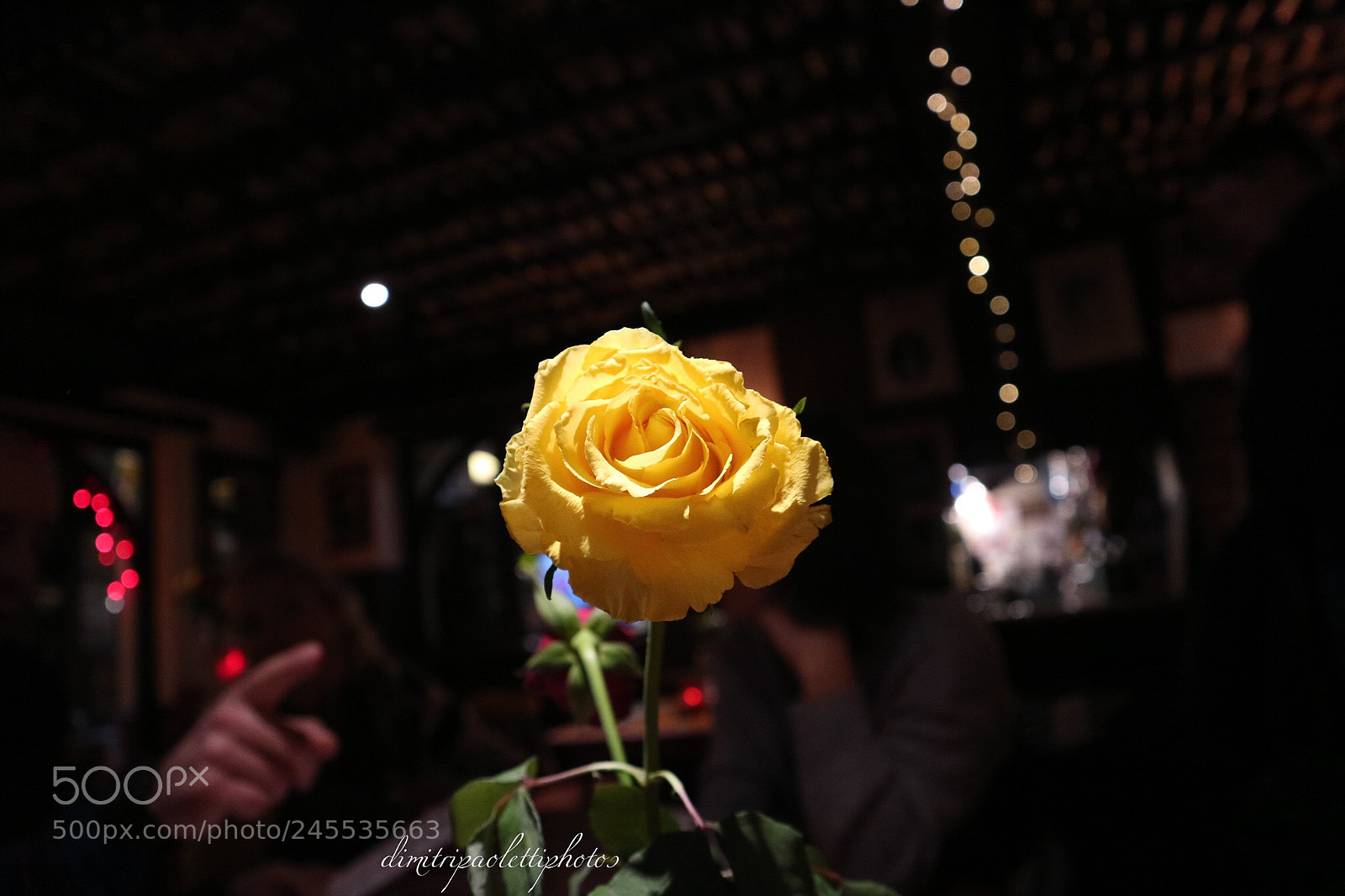 Canon EOS M3 sample photo. Rosa, rosa gialla. photography