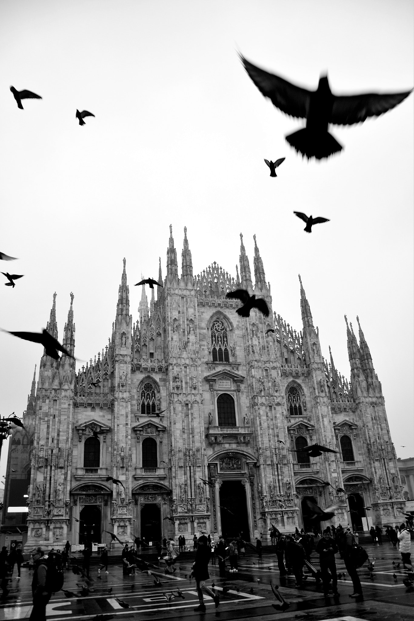 Nikon D5500 sample photo. Fly to milan photography