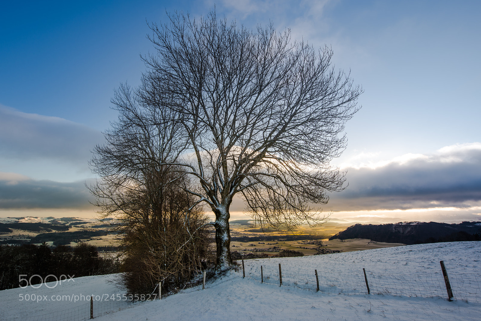 Nikon D810 sample photo. In the morning photography