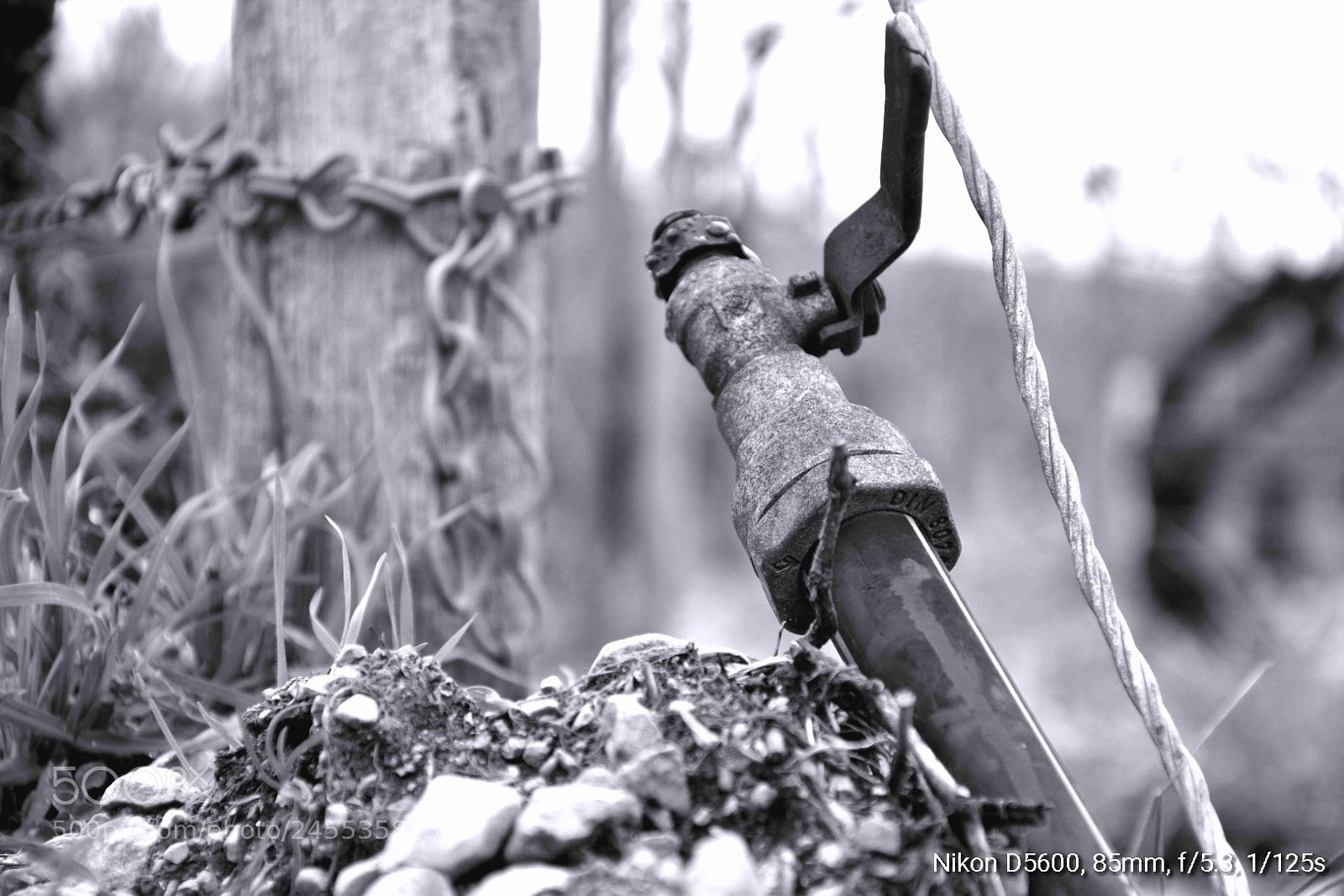 Nikon D5600 sample photo. Untitled photography