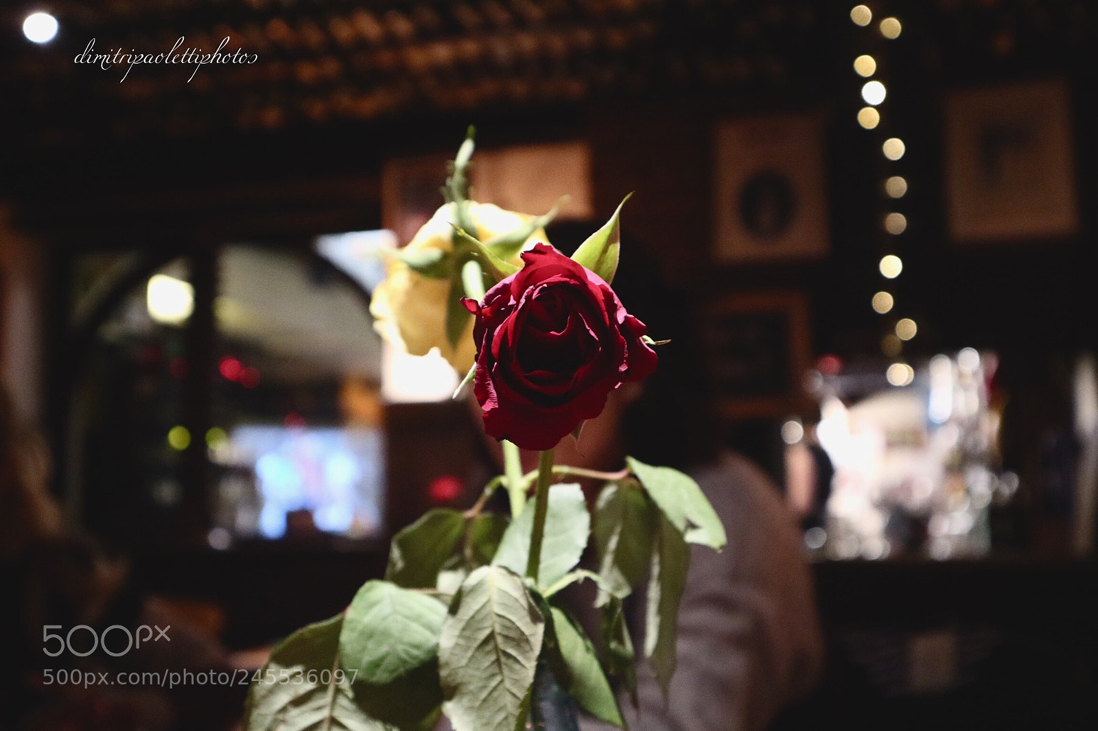 Canon EOS M3 sample photo. Rosa rossa photography