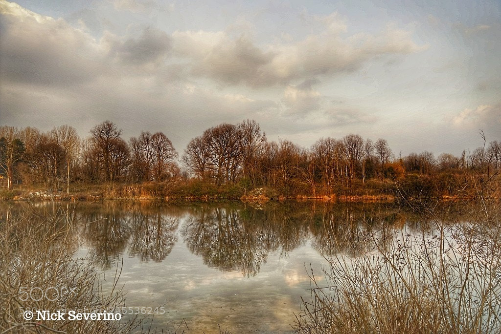 Sony a7R sample photo. Warm winter colors photography