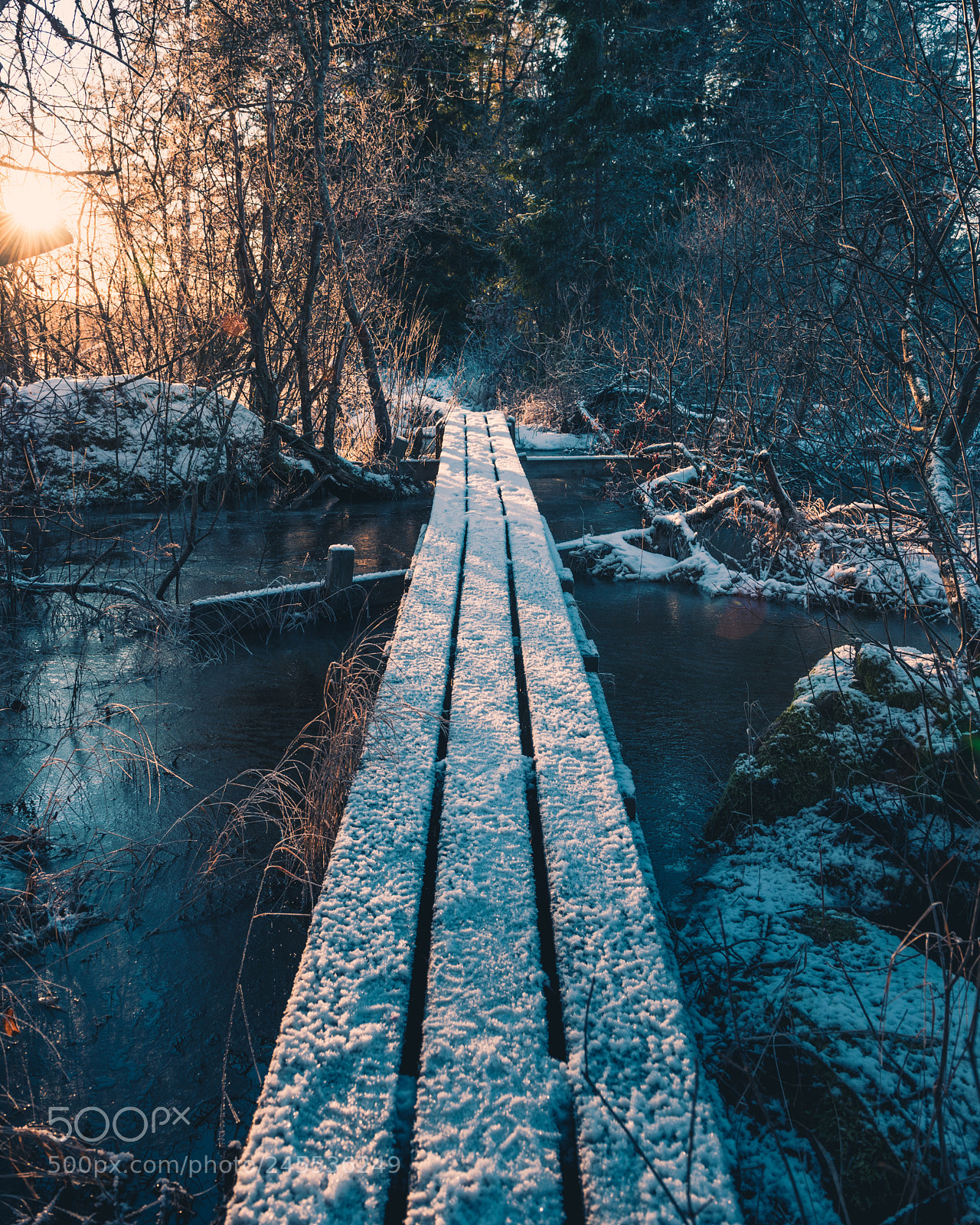 Nikon D810 sample photo. Path towards the sunset photography