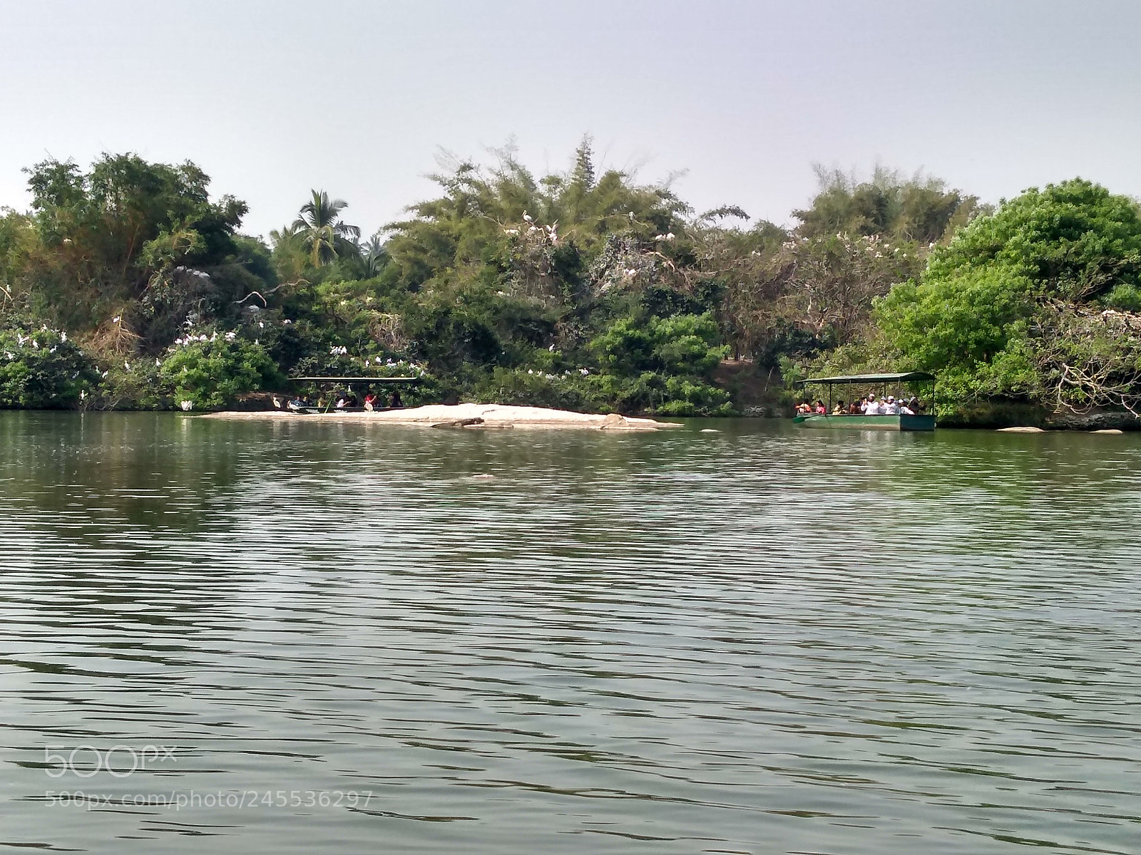 Motorola Moto G (5S) Plus sample photo. Untitled photography