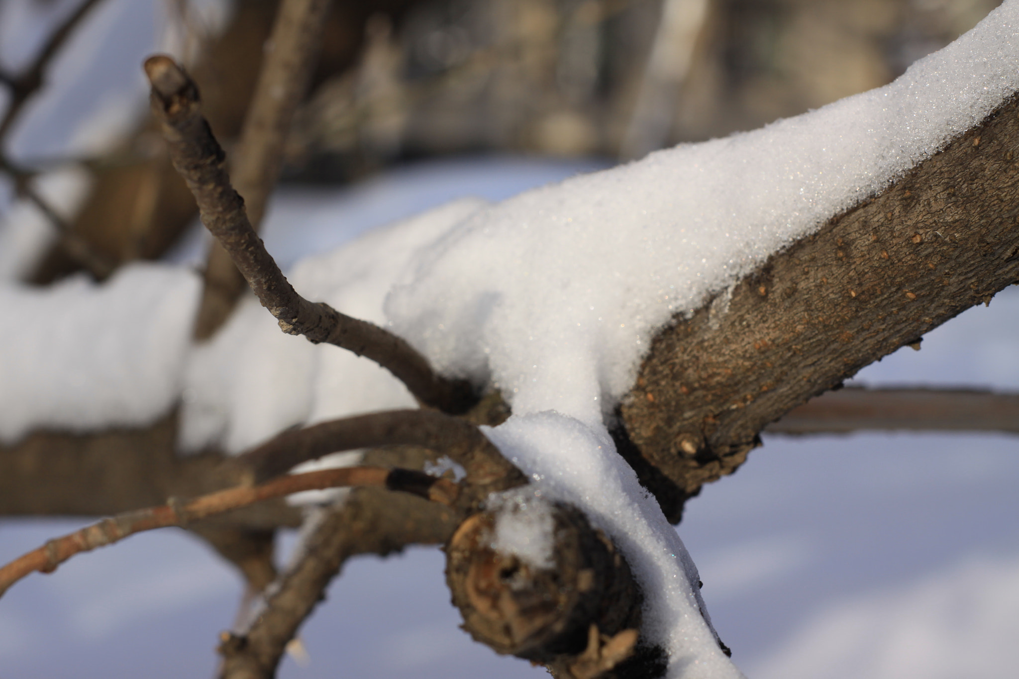 ZEISS Planar T* 50mm F1.4 sample photo. Morning in moscow photography