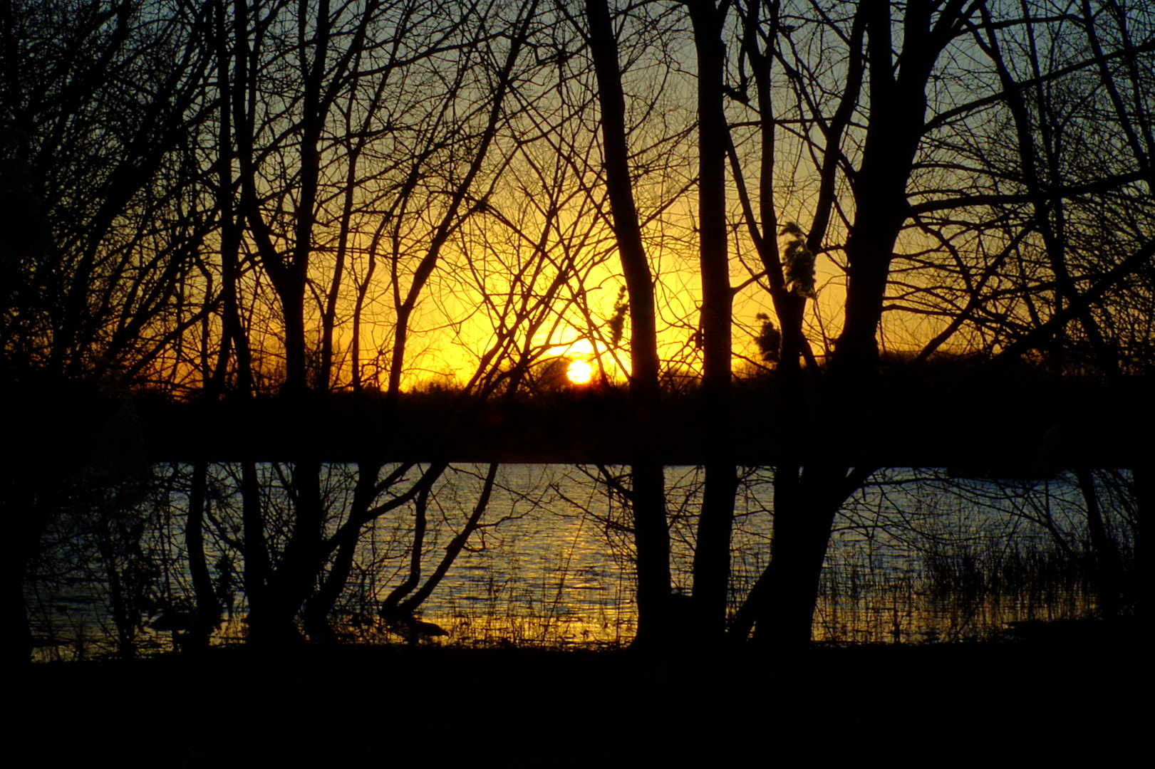 JK KODAK PIXPRO AZ422 sample photo. Sunset through the trees photography