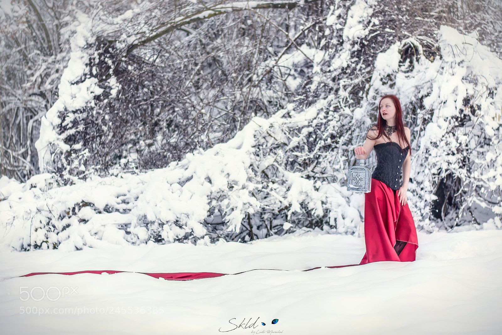 Nikon D7100 sample photo. Winter princess photography