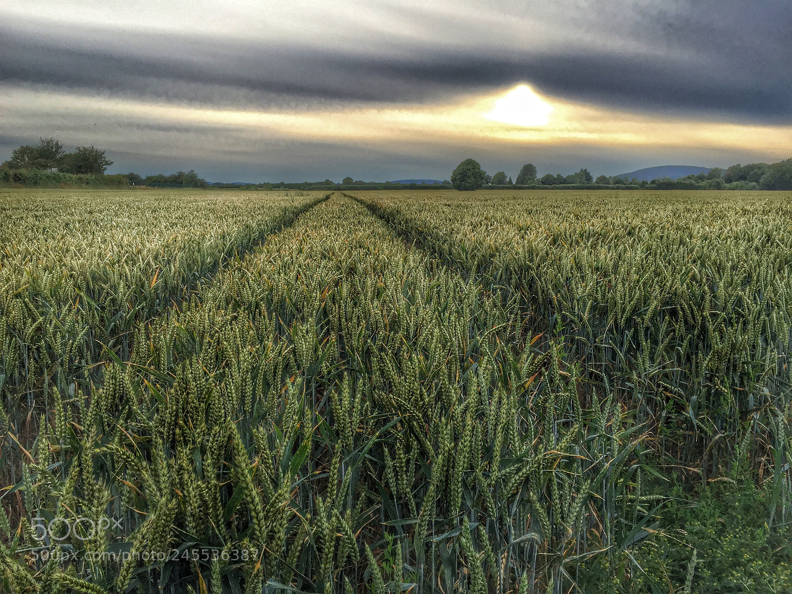Apple iPhone 6 Plus sample photo. A walk earlier...herefordshire photography