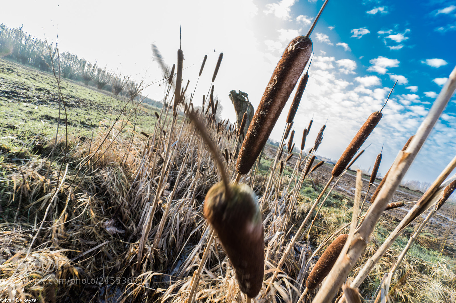Sony a7 II sample photo. Dsc photography