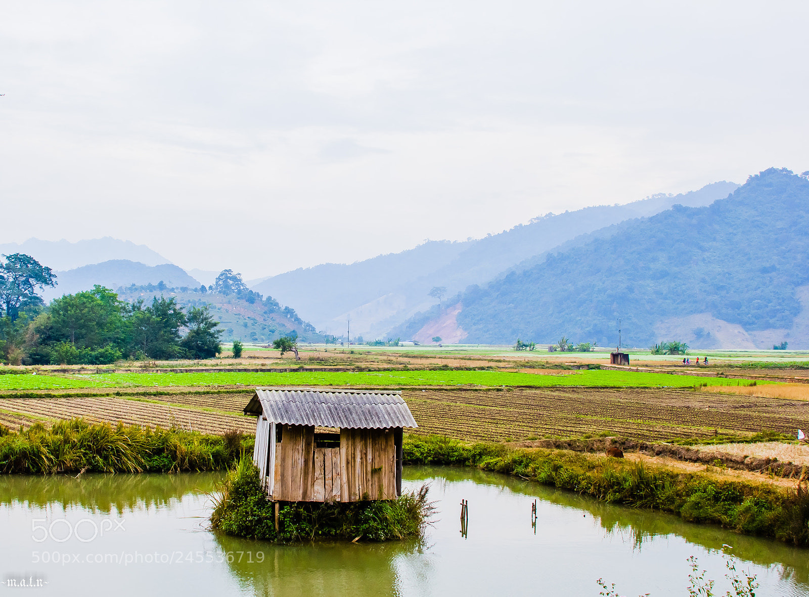 Canon EOS 60D sample photo. Rural photography