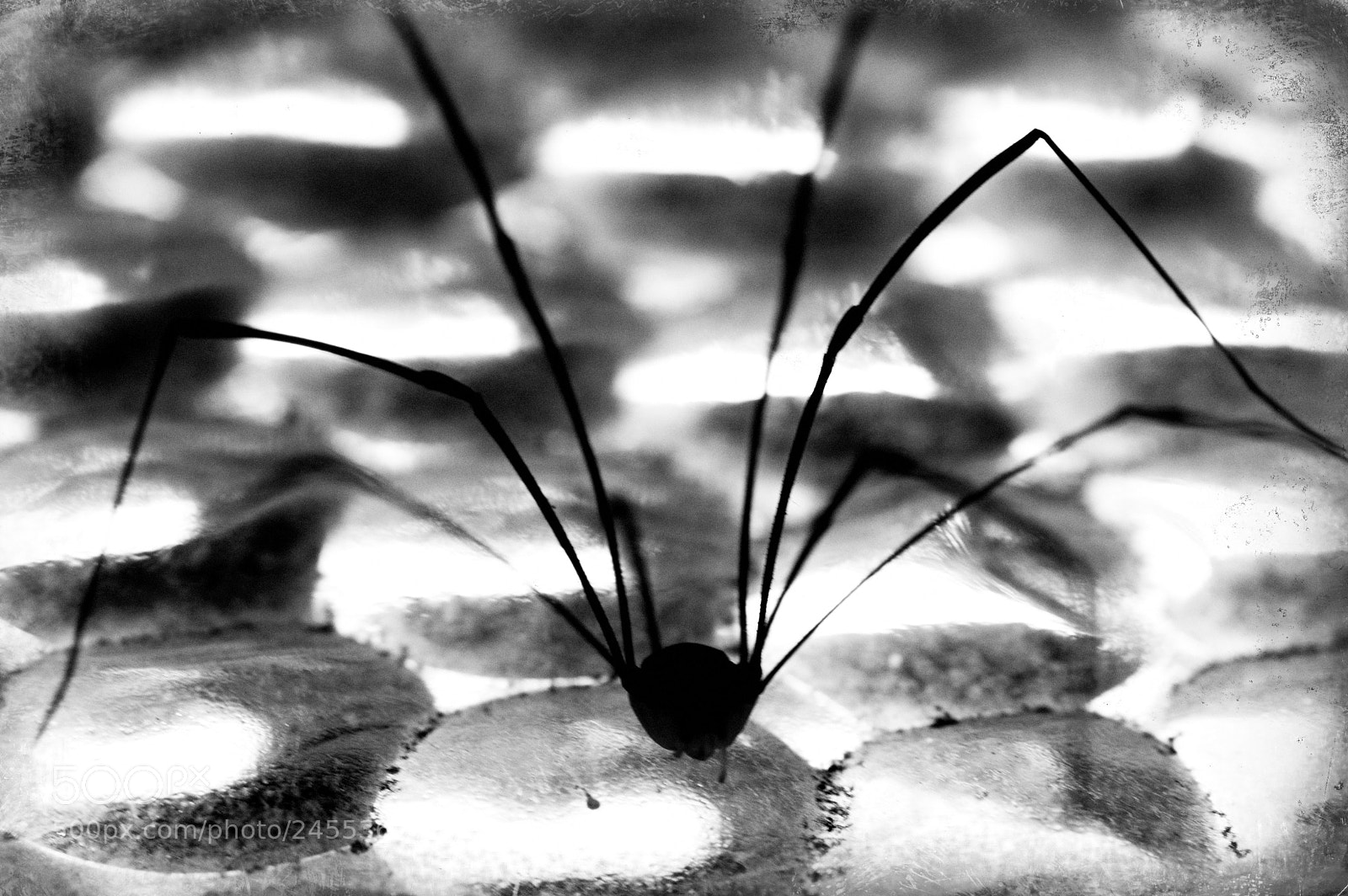 Nikon D50 sample photo. Ominous photography