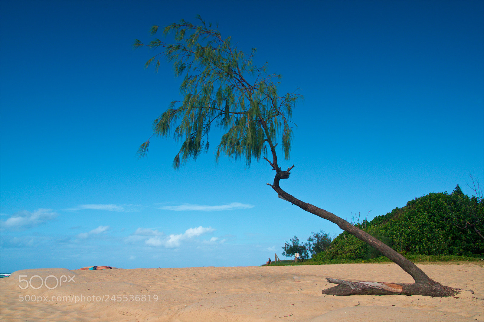 Pentax K-3 II sample photo. Relax at the beach photography