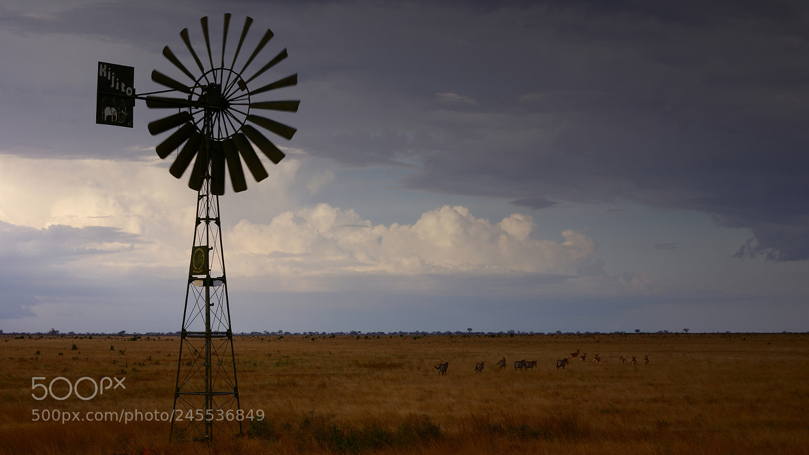 Sony Alpha DSLR-A350 sample photo. Kijito mill, tsavo park photography