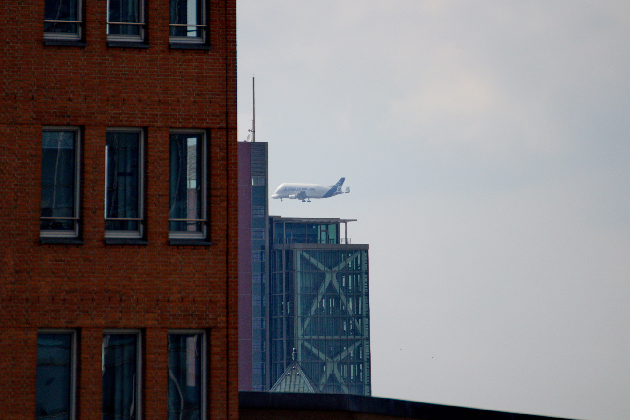 Tamron SP 35mm F1.8 Di VC USD sample photo. Airbus beluga photography