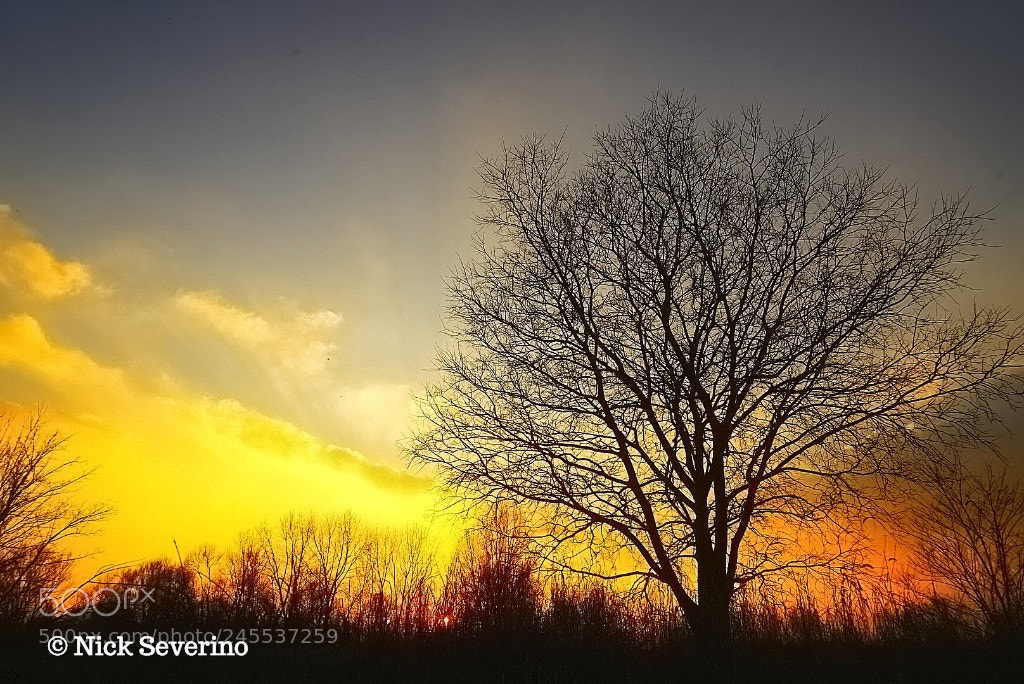 Sony a7R sample photo. Countryside sunset photography