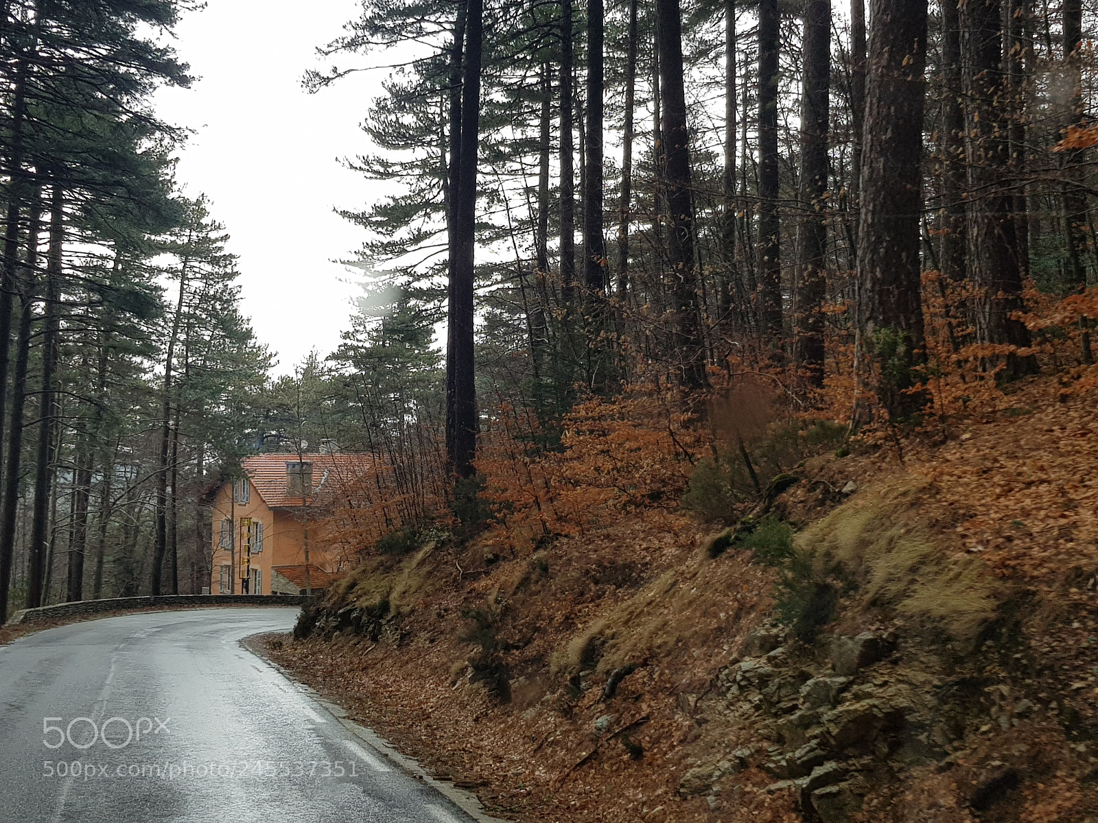 Samsung Galaxy S8 sample photo. Foret dans les montagnes photography