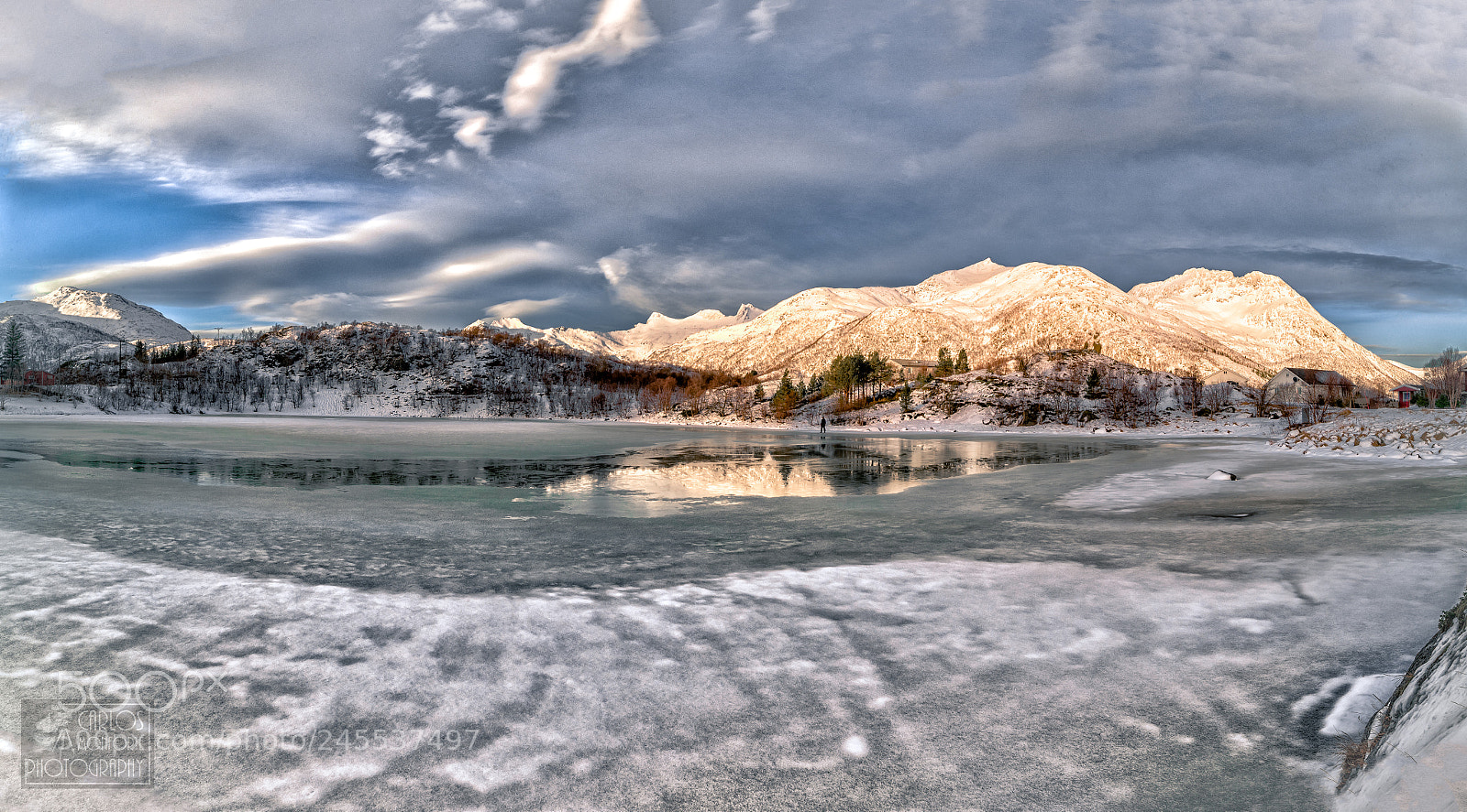 Canon EOS-1D X Mark II sample photo. White winter photography