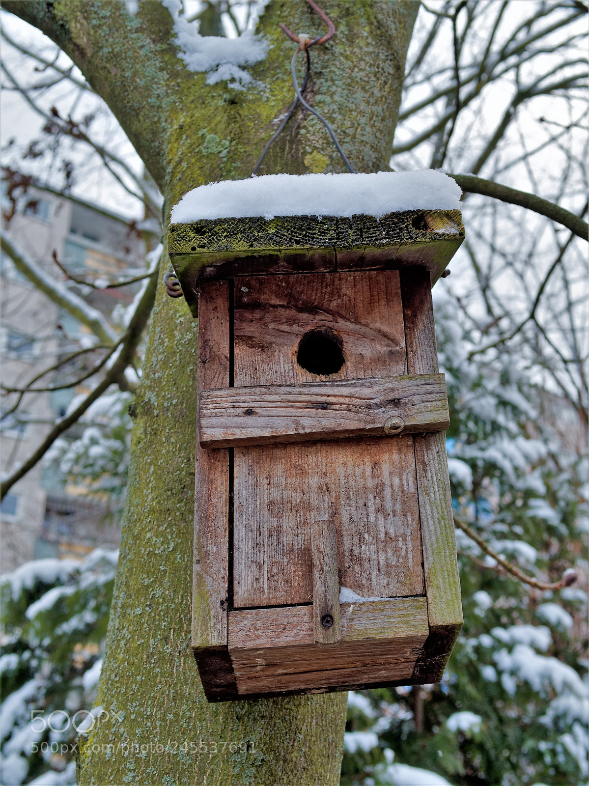 Olympus OM-D E-M5 sample photo. Bs-heidberg, vogelhaus photography
