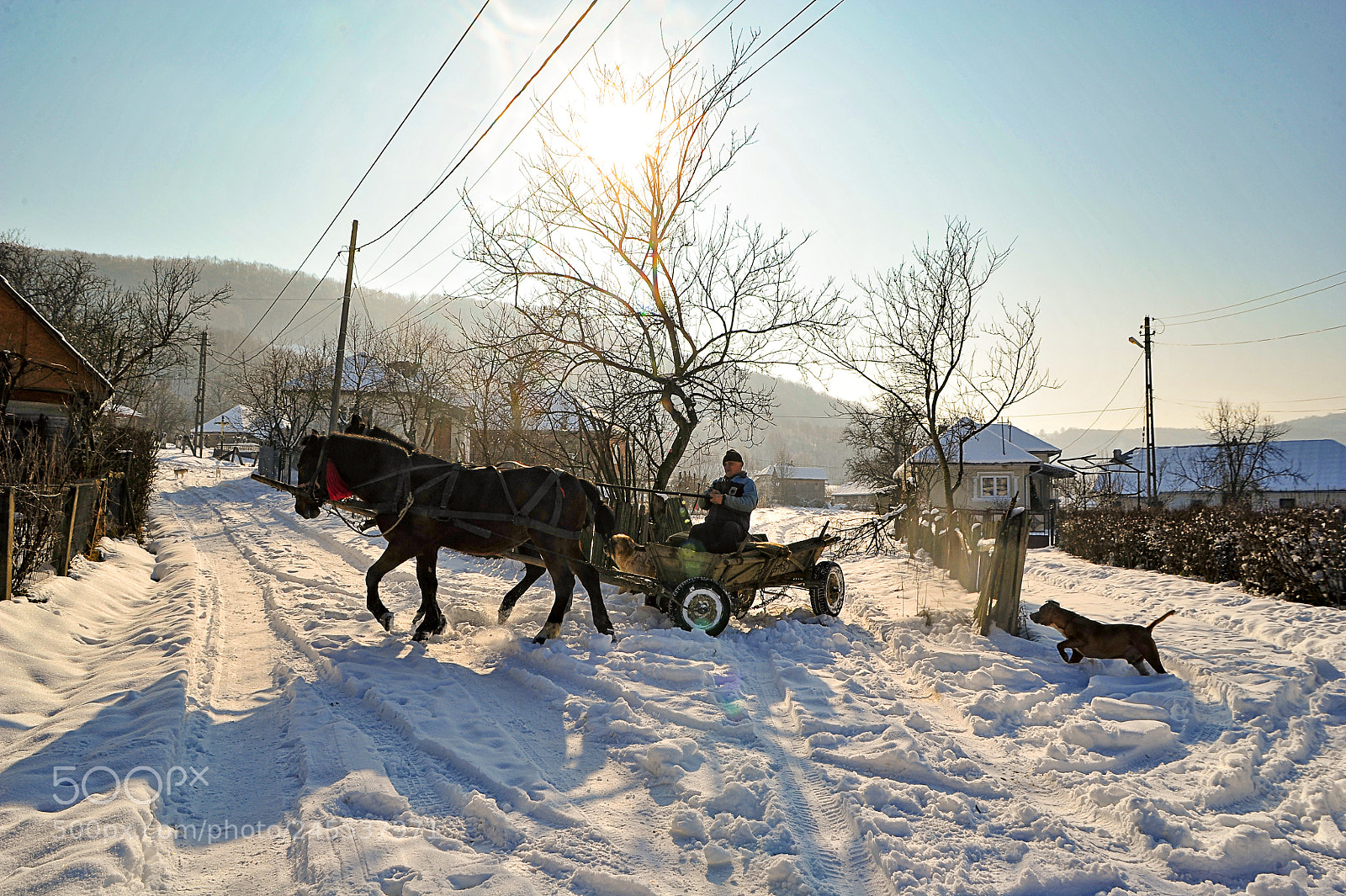 Nikon D700 sample photo. Winter work photography