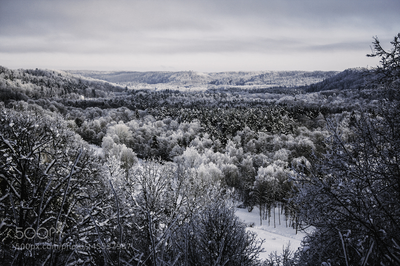 Canon EOS 40D sample photo. Winterland photography