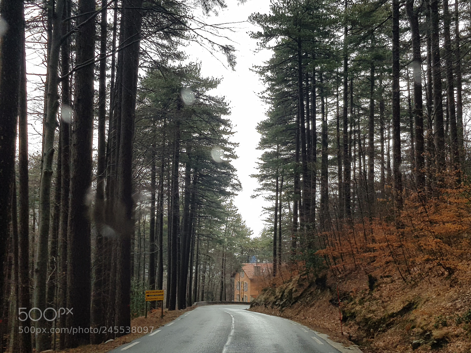 Samsung Galaxy S8 sample photo. Foret dans les montagnes photography