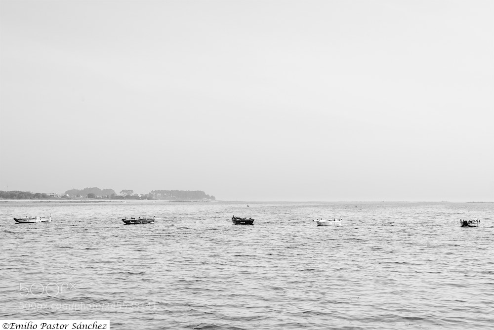 Nikon D800 sample photo. Copia photography