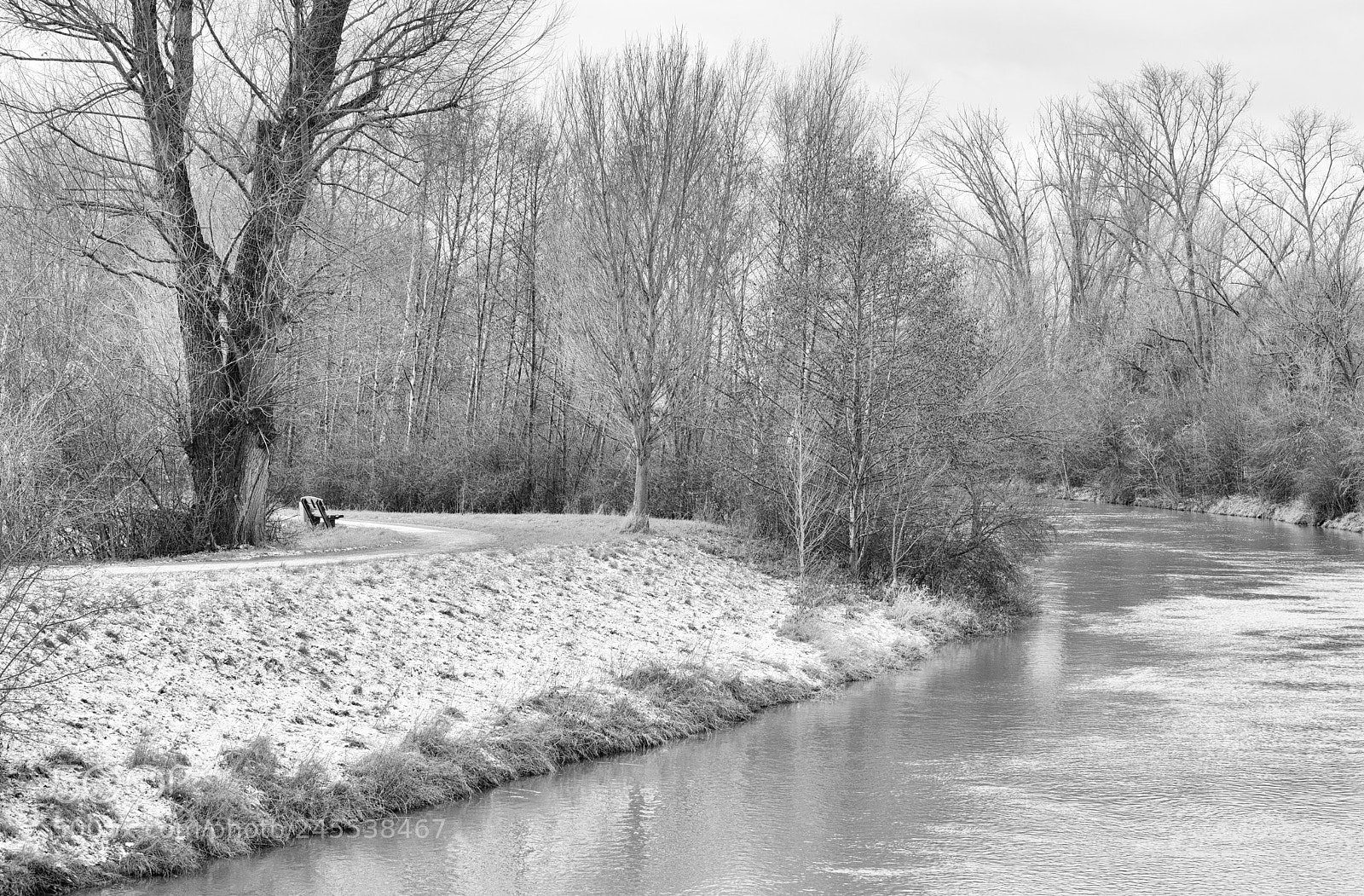 Nikon D810 sample photo. Cold morning walk photography